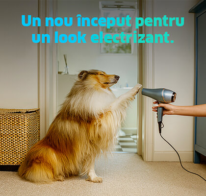 3.ENGIE_swiper-slide-Electricitate