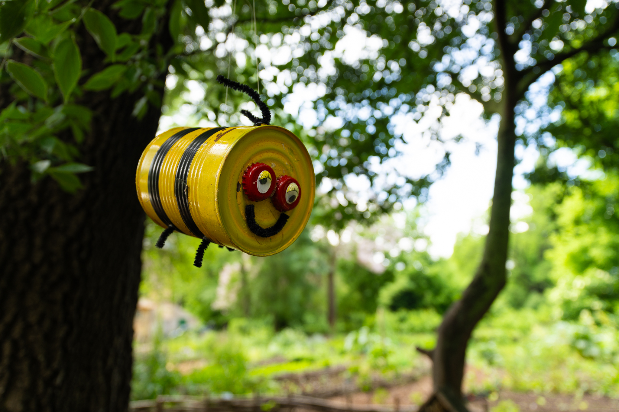 ENGIE și Asociația Grădinilor Botanice marchează Ziua Internațională a Biodiversității prin finalizarea proiectului „Grădinile Cunoașterii” în Grădina Botanică din București